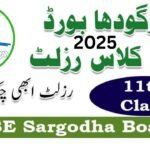 Bise Sargodha 1st Year Result 2025 By Roll Number